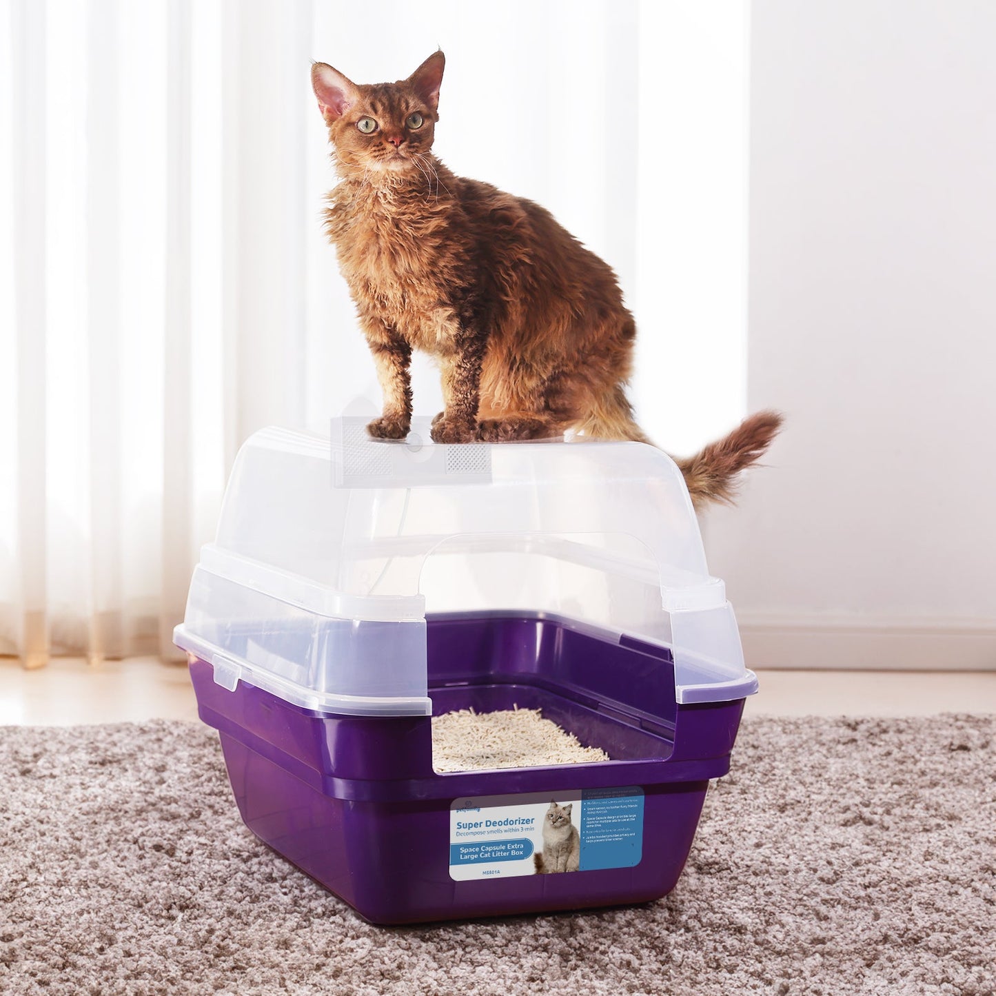 Deodorizing Litter Box