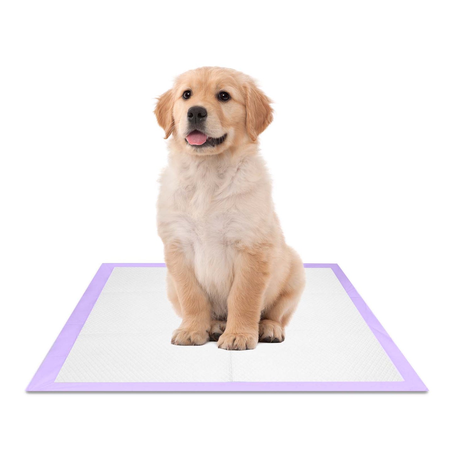 Puppy Pads Lavender 23" x 24"
