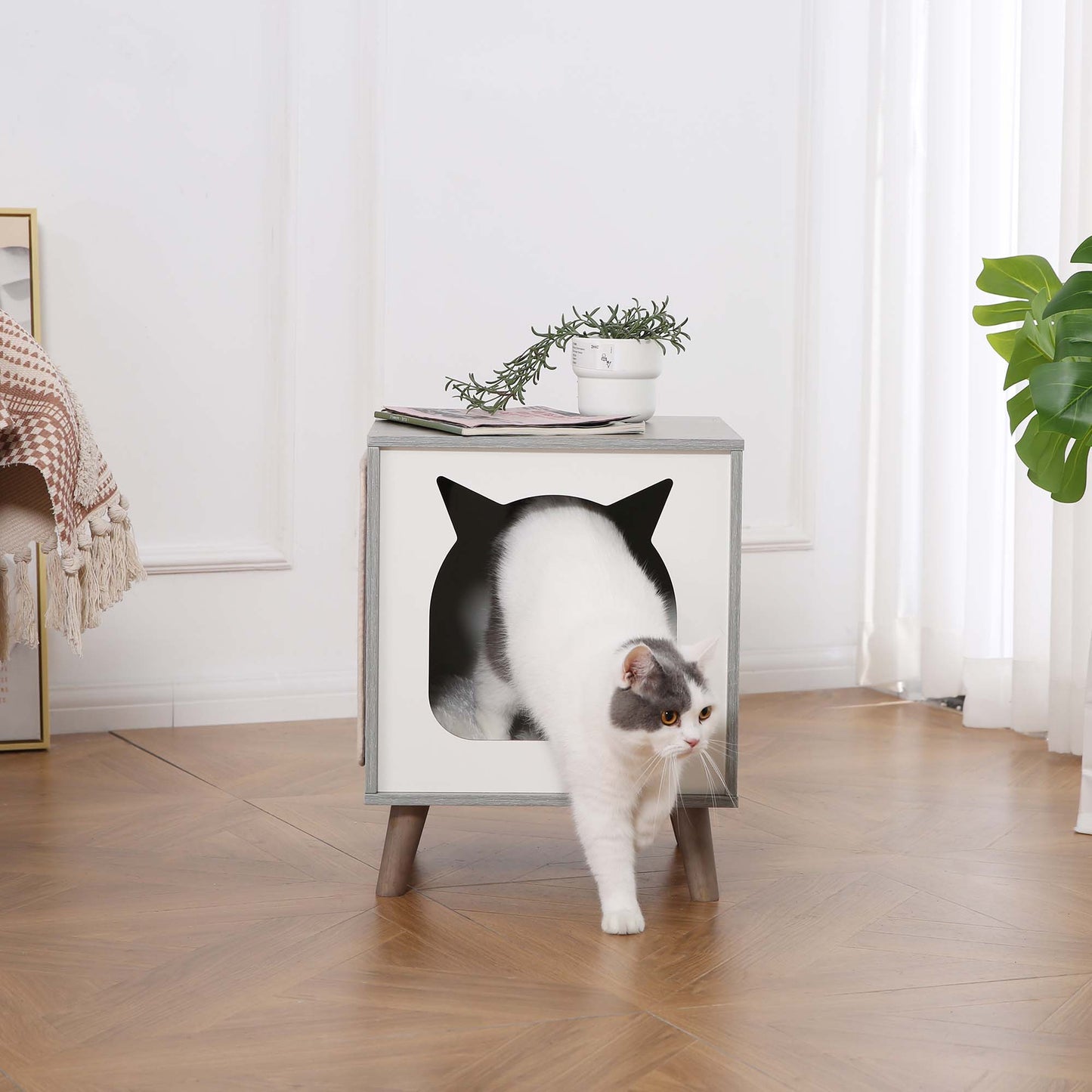 Cat TV House