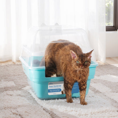 Deodorizing Litter Box