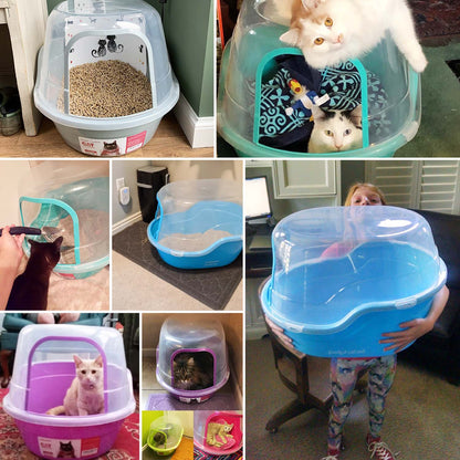 Cat Litter Box