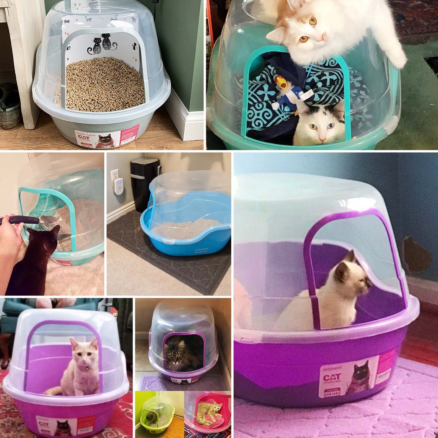 Cat Litter Box